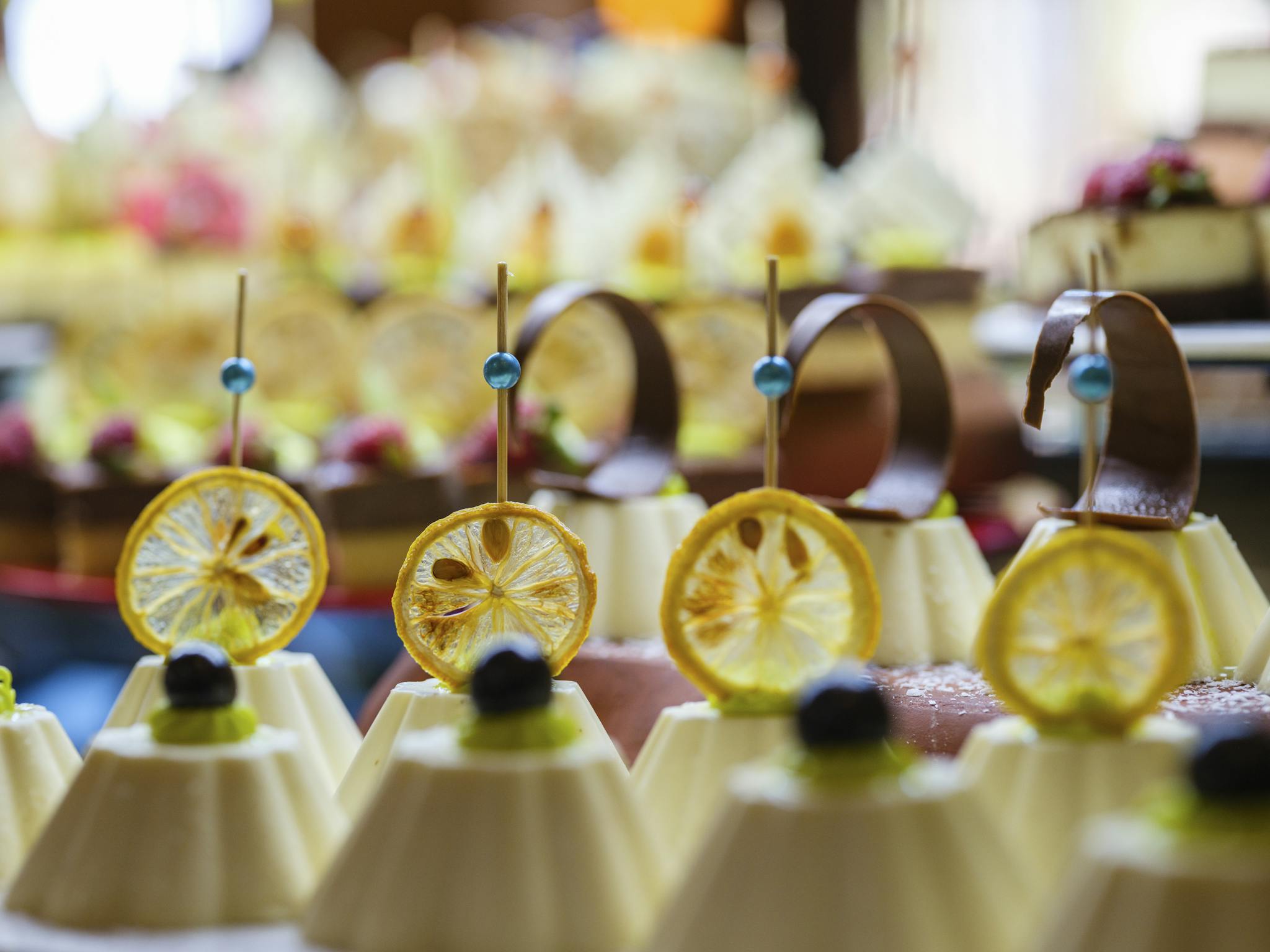 A close-up of beautifully presented desserts topped with dried lemon slices, showcasing exquisite catering.