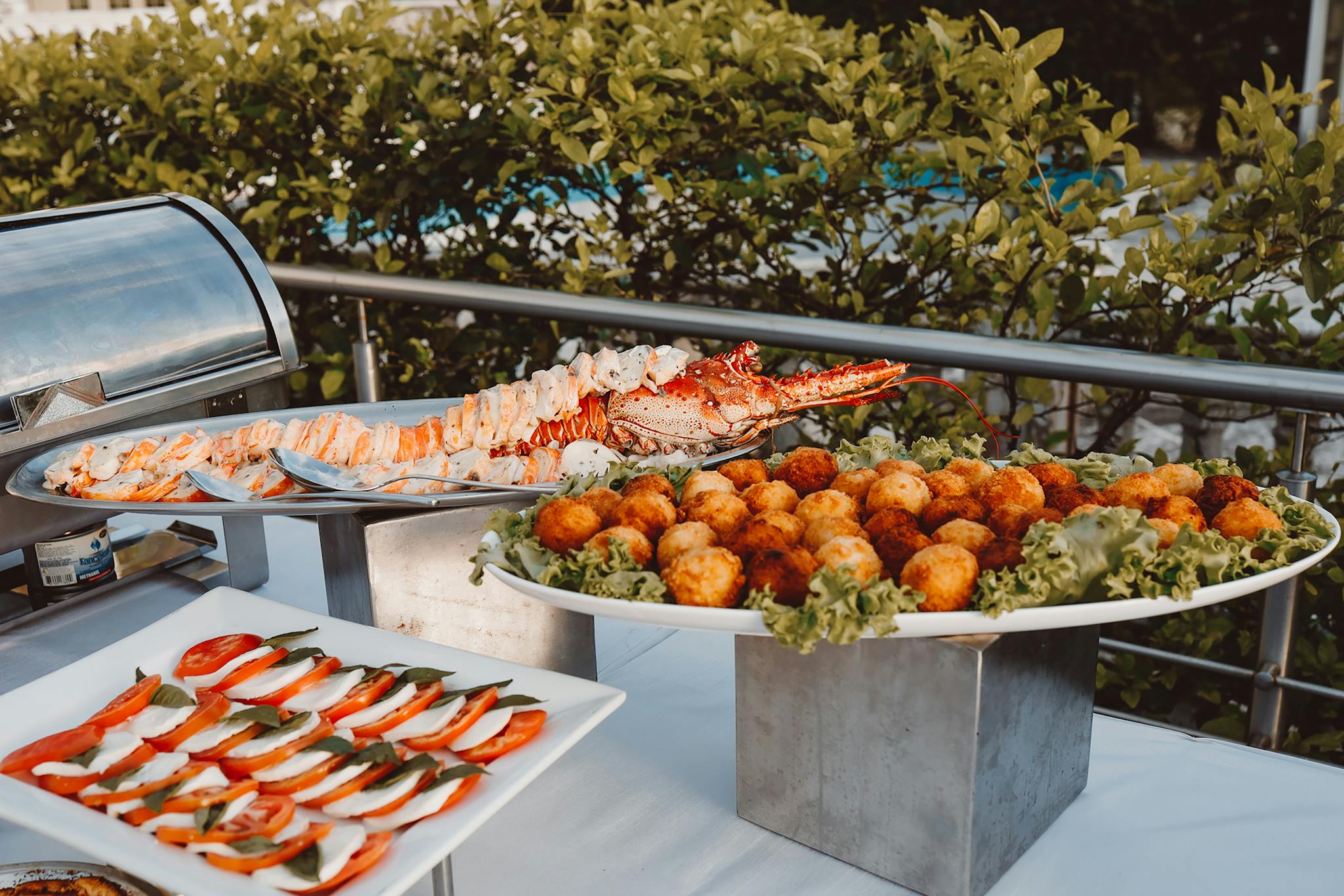 Delicious seafood and gourmet appetizers displayed on an outdoor buffet table.